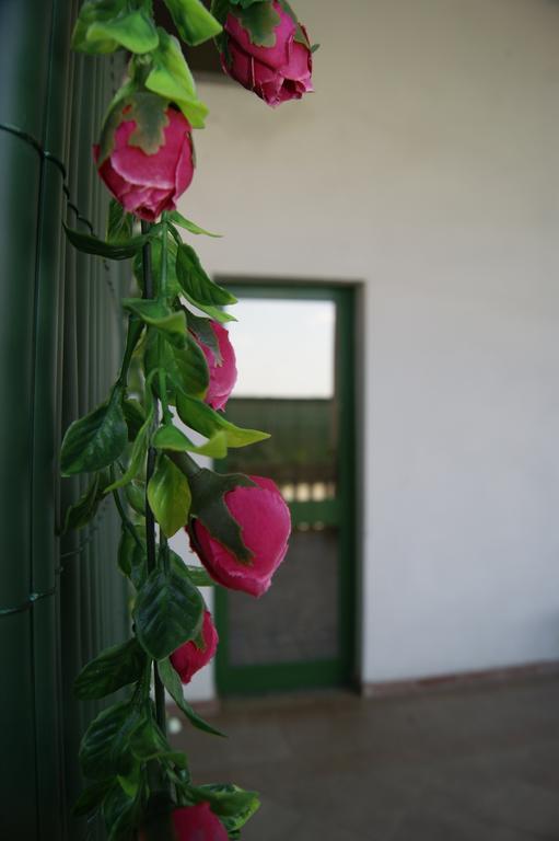 Agriturismo La Valbona Villa San Martino Siccomario Екстериор снимка