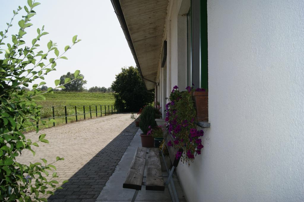 Agriturismo La Valbona Villa San Martino Siccomario Екстериор снимка