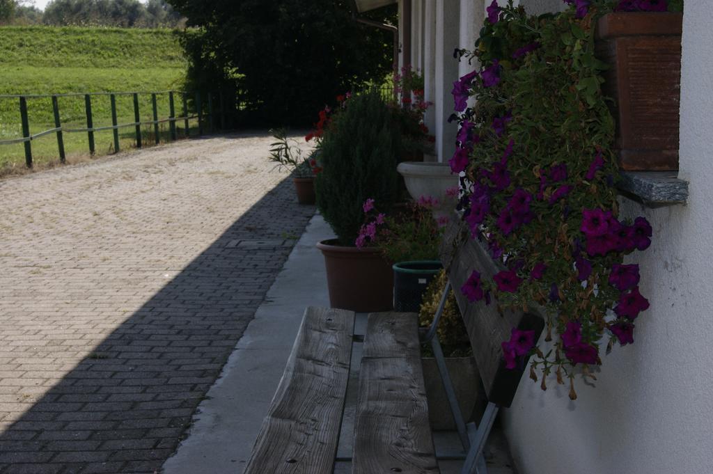 Agriturismo La Valbona Villa San Martino Siccomario Екстериор снимка