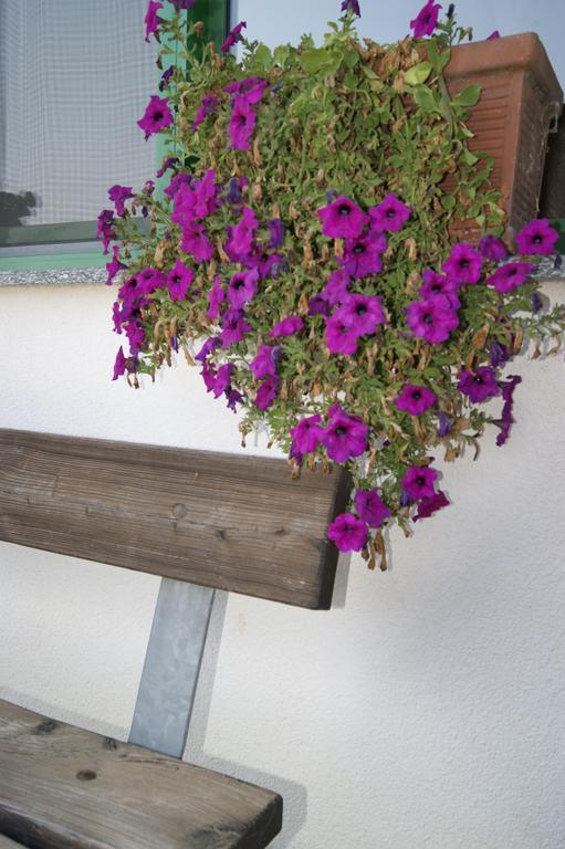 Agriturismo La Valbona Villa San Martino Siccomario Екстериор снимка