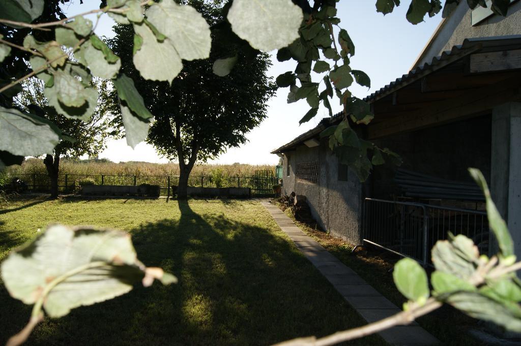 Agriturismo La Valbona Villa San Martino Siccomario Екстериор снимка